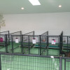 Doggie Daycare & Motel Gallatin Gateway, Bozeman, MT