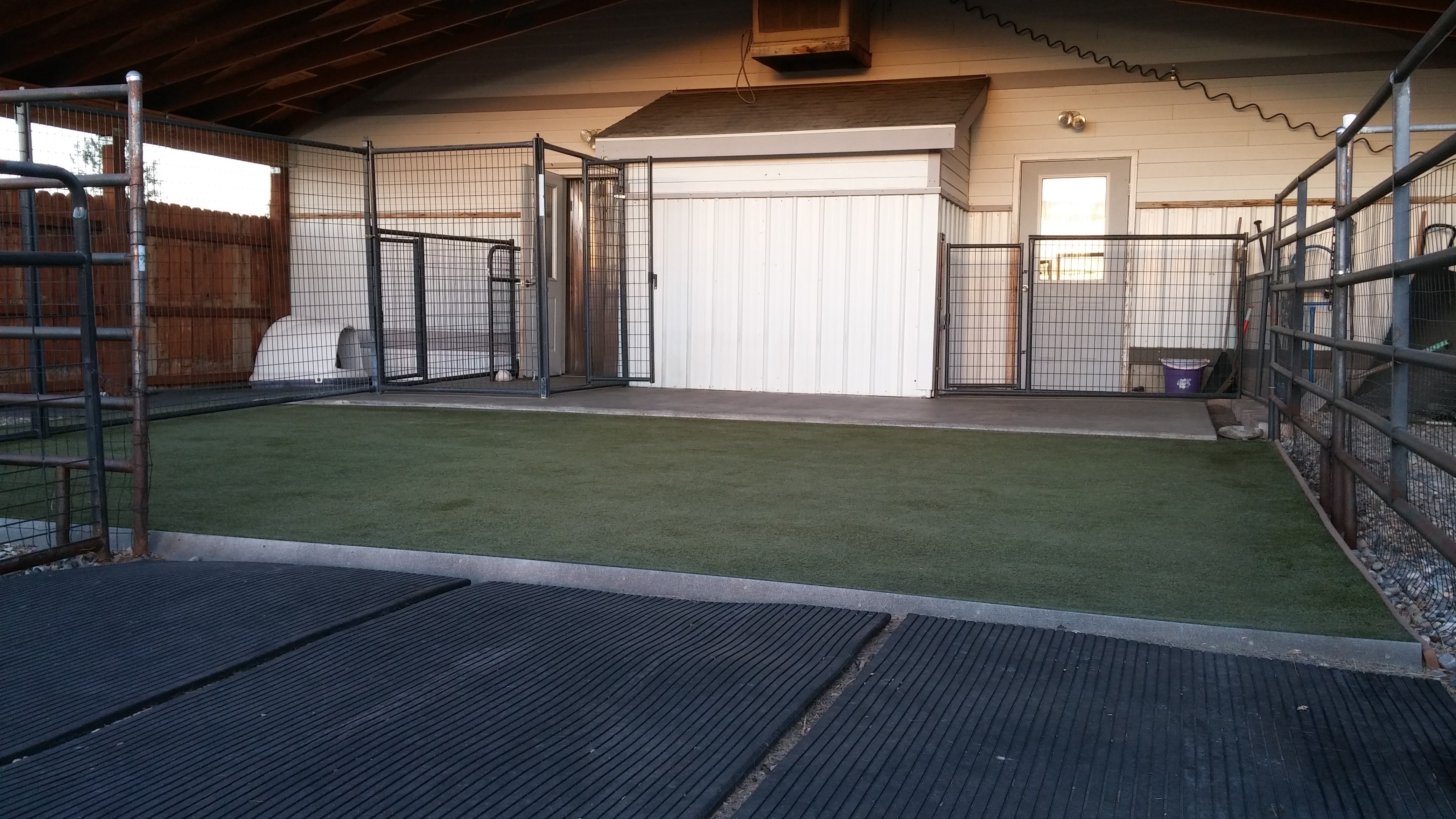 dog daycare facilities near me