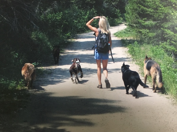 affordable doggie daycare near me